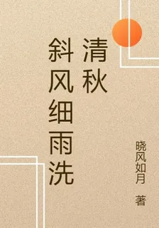 斜風細雨洗清秋 封面