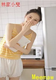 林家小斐 封面