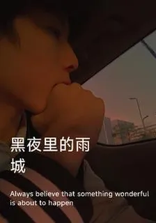 黑暗裏雨城 封面