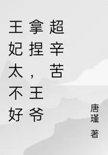 王妃太不好拿捏，王爺超辛苦 封面