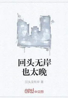 回頭無岸也太晚 封面