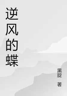 逆風的蝶 封面