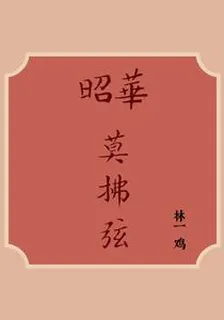 昭華莫拂弦 封面