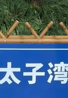 太子灣的故事 封面