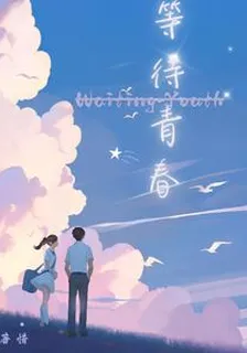 等待青春 封面