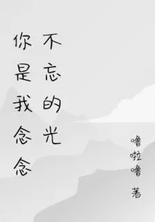 你是我念念不忘的光 封面