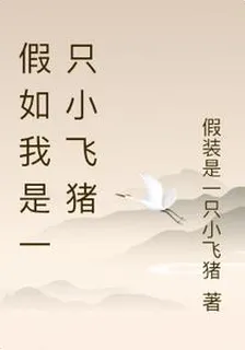 假如我是一隻小飛豬 封面