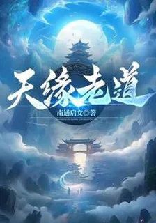 天緣老道 封面
