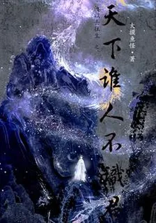 何以去往生之天下誰人不識君 封面