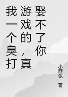 我一個臭打遊戲的，真娶不了你 封面