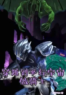 穿越到平行宇宙做騎士 封面