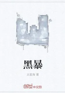 黑暴 封面