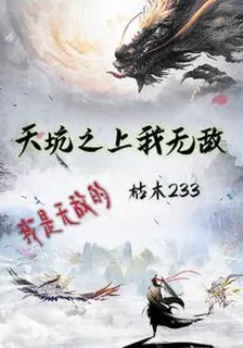 天坑之上我無敵 封面