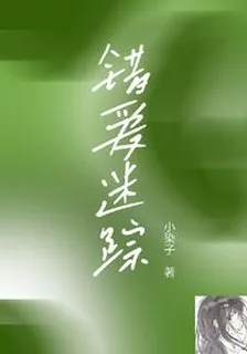 錯愛迷蹤 封面