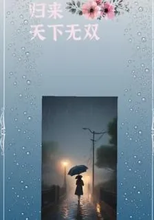 歸來天下無雙 封面