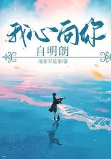 我心向你自明朗 封面