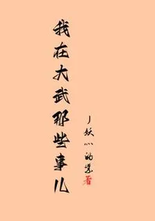 我在大武那些事兒 封面