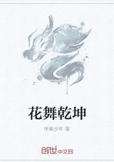 花舞乾坤 封面
