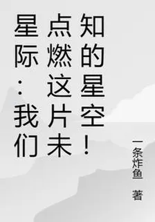 星際：我們終將，點燃星空！ 封面