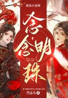 念念明珠 封面