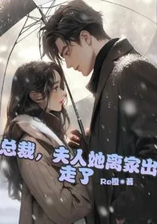 總裁，夫人她離家出走了 封面
