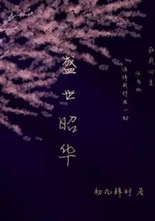 盛世昭華 封面
