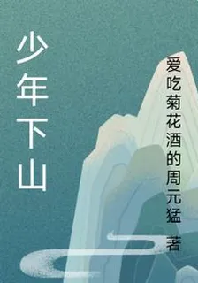 少年下山 封面