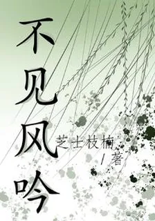 不見風吟 封面