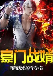 豪門戰婿 封面