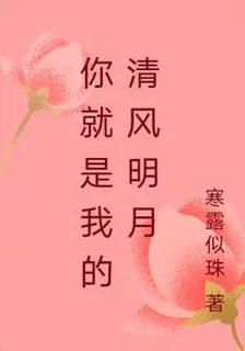 你就是我的清風明月 封面
