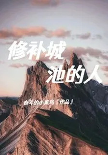 修補城池的人 封面