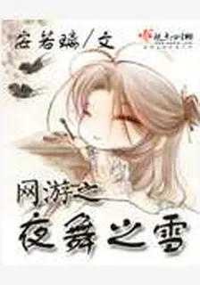 網遊之夜舞之雪 封面