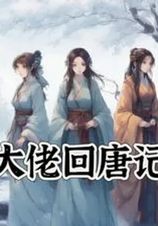 大佬回唐記 封面