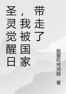聖靈覺醒日，我被國家帶走了 封面
