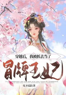 穿越後，我被抓去當了冒牌王妃 封面