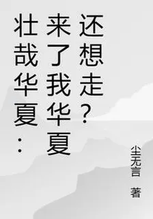 壯哉華夏：來了我華夏還想走？ 封面