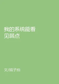 我的系統能看見弱點 封面