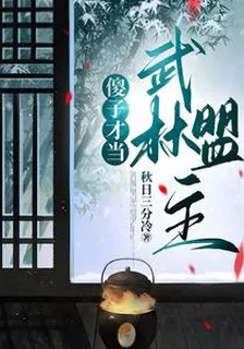 傻子才當武林盟主 封面