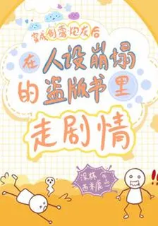 在人設崩塌的盜版書裏走劇情 封面