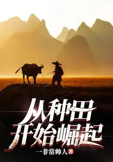 從種田開始崛起 封面