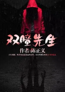 雙瞳先生 封面