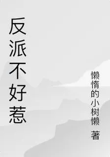 反派不好惹 封面