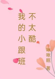 我的小跟班不太酷 封面