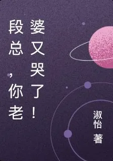 段總，你老婆又哭了！ 封面