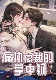 偏執總裁的掌中物 封面