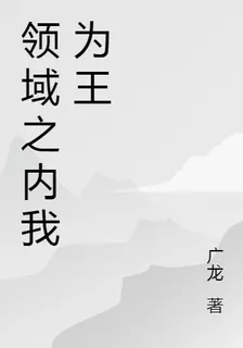 領域之內我爲王 封面