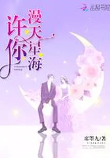 許你漫天星海 封面