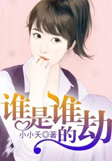 誰是誰的劫 封面