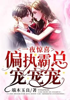 一夜驚喜：偏執霸總寵寵寵 封面