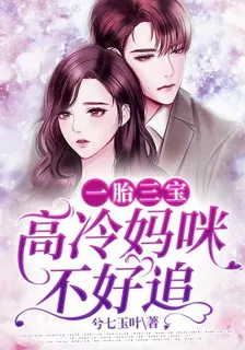 一胎三寶：高冷媽咪不好追 封面